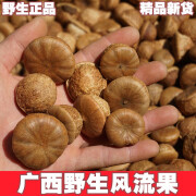 广西野生风流果子厚鳞柯500g精品特级男性滋补泡酒料