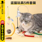 自带干粮的猫猫玩具套装自嗨解闷仿真鱼逗猫棒羽毛荡秋千挂门玩具薄荷球啃咬绳