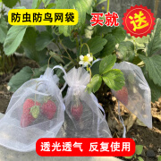 山头林村草莓蓝莓水果网套袋防虫防鸟吃套袋纱网袋葡萄无花果透气瓜果套袋 小号10x12厘米10个2个