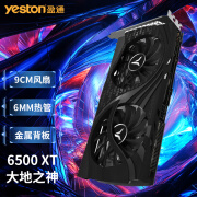 盈通（yeston） RX6400 /RX6500XT 大地之神 游戏电脑显卡办公家用电竞显卡电脑台式机显卡 RX 6500XT 4G D6 大地之神 单显卡