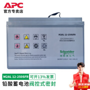 APC 施耐德  原厂免维护密封铅酸蓄电池   UPS不间断电源供电电池  12V 250AH电池  M2AL12-250SFR