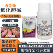 绿银氯化胆碱60% 大蒜大姜洋葱红薯花生土豆人参药材姜地下根茎膨大剂 10ml*5袋