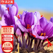 沭之美藏红花种球植物绿植  藏红花种球20个 颜色随机 不含盆 源头直发