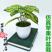 润蕾 仿真花仿真植物小盆栽 仿真盆栽 室内桌面摆放 居家装饰仿真小植物 仿真苹果叶