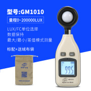 标智照度计GM1010光照度仪GM1020灯光强度测试仪路灯LED弱光测亮仪 GM1010照度计标配