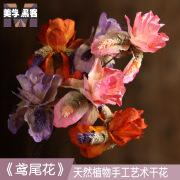 美学黑客鸢尾花干花花束艺术装饰干花真花风干客厅天然创意室内欧式文艺 紫色渐变