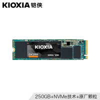 铠侠（Kioxia）250GB SSD固态硬盘 NVMe M.2接口 EXCERIA NVMe RC10系列