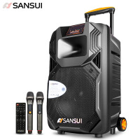 山水（SANSUI）SS1-15 广场舞音响 蓝牙拉杆音箱 户外便携式音响 大功率带无线麦克风扩音器