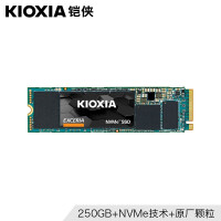 铠侠（Kioxia）RC10 RD10 TC系列SSD固态硬盘（容量及接口可选）【原东芝存储】 RC10 NVMe 1TB