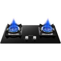 万和 Vanward 燃气灶5.0KW大火力嵌入式台式两用具家用双灶 钢化玻璃 全进风 JZT-C5L96(天然气)