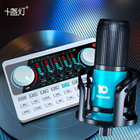 十盏灯 P2-V10声卡套装手机专用电脑台式通用快手抖音网红主播K歌神器专业录音喊麦唱歌直播设备全套 白色