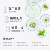 Bigen美源宣若 发采快速黑发霜 160g（棕黑色 882s）国产加量 植萃盖白