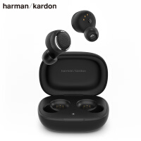 哈曼卡顿（Harman Kardon）FLY TWS 真无线蓝牙智能耳机 入耳式 带麦手机可通话+防水运动 黑色