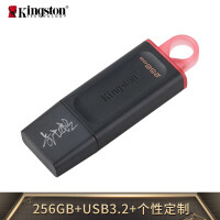 金士顿（Kingston）256GB USB3.2 Gen 1 U盘 DTX 时尚设计 轻巧便携 个性化自定义定制