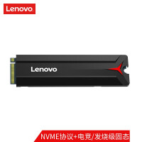联想（Lenovo) SSD固态硬盘 256GB M.2接口(NVMe协议) SL700拯救者系列 2280板型