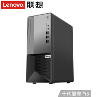 联想(Lenovo)扬天M6600t 十代酷睿i5商用办公家用娱乐税控台式电脑整机 单主机 定制i5-10400/16G