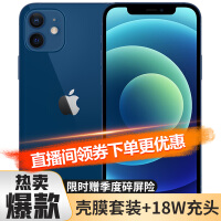 Apple 苹果iPhone 12 5G 手机 蓝色 全网通 256GB【12期免息】