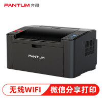 奔图（PANTUM）P2206W 微信分享/五年保修 黑白激光无线网络WiFi家用作业打印机