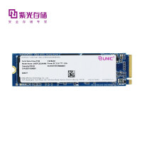 紫光存储（UNIC MEMORY） SSD固态硬盘 S100 P100系列 M.2/SATA接口 P100 512G
