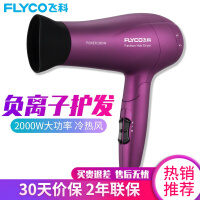 飞科（FLYCO）2000W电吹风机家用吹飞冷热风大功率吹风筒负离子电风吹可折叠FH6618 魅力紫