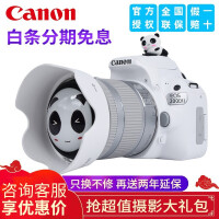 佳能（Canon）EOS 200D二代 入门级单反相机 数码相机 家用高清旅游照相机 200D II 18-55mm I
