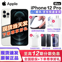 Apple 苹果12 iPhone 12 Pro Max 5G 手机（现货速发 12期免息可选） 银色 5G版 128G
