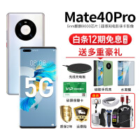 华为 Mate40 Pro 5G 麒麟9000SoC芯片超感知徕卡电影影像双超级闪充手机 秘银色 全网通8GB+256G