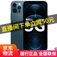 Apple 苹果 iPhone 12 pro max全网通5G手机 海蓝色 256G【12期白条免息】