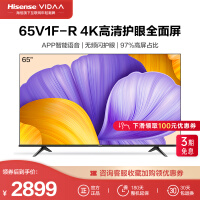 海信电视 VIDAA 65英寸 液晶电视 智慧屏 智能 4K超高清 超薄全面屏 护眼 65V1F-R