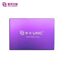 紫光存储（UNIC MEMORY） SSD固态硬盘 S100 P100系列 M.2/SATA接口 S100 960G
