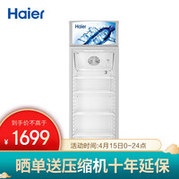 海尔(Haier)310升风冷双层门展示柜冰柜 商用冷藏饮料冷柜 SC-328D