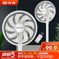 先锋(Singfun)遥控电风扇落地扇定时9叶专利蝉翼扇DLD-D15