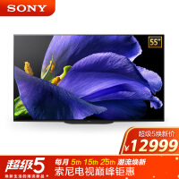 索尼（SONY）KD-55A9G 55英寸 4K HDR超高清超薄全面屏 OLED电视 人工智能语音 安卓8.0智慧屏