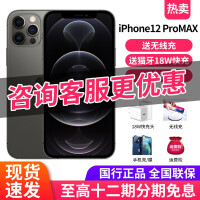 【可选12期免息】Apple 苹果 iPhone 12 Pro Max 5G手机 石墨色 全网通 128GB（白条12期