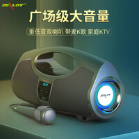 狂热者(ZEALOT) 无线广场舞蓝牙音响户外音箱k歌音响家用便携网红抖音大音量超重低音炮话筒麦克风 PI黑色【配麦克风】