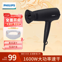 ֣PHILIPS ʼô СͲ紵 ٸ ӴͲ ۵  BHD308ح1600W