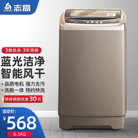 志高(CHIGO)全自动洗衣机 热烘干 洗烘一体 大容量 智能波轮洗脱一体机 带风干功能 6.5金色升级款【蓝光洗护+智能风干+强动力电机】