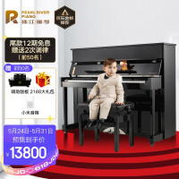 珠江钢琴（PEARLRIVER）N-118京珠立式钢琴德国进口配件 儿童初学成人考级通用1-10级88键