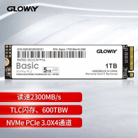 光威（Gloway）1TB SSD固态硬盘 M.2接口(NVMe协议) Basic系列-基础版/五年质保