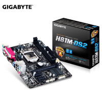 ΣGIGABYTE H81M-DS2 Intel H81/LGA1150żð칫