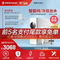 滨特尔(PENTAIR)净水器家用直饮净水机厨下大流量智能显示反渗透双出水无桶纯水机前置B140套装