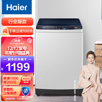 海尔(Haier)10KG波轮洗衣机全自动 防菌防霉 专用桶自洁 自编程随心洗 EB100Z129