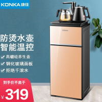 康佳（KONKA）饮水机家用办公立式制冷制热下置式茶吧机 KY-C2010温热款