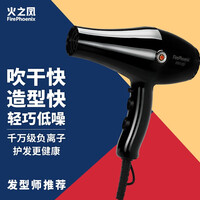 火之凤 电吹风机家用吹风筒 负离子大功率发廊专用大风力速干理发店高速恒温护发不伤发8960 曜石黑