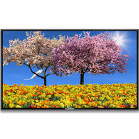 康佳（KONKA）非智能防爆电视 商用纯显示 无网络无蓝牙 无系统 监控屏监视器 开机直达信号无广告显示屏 欧洲杯 55英寸 防爆屏（直达无广告55KF03CF）壁挂