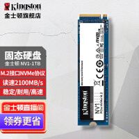 金士顿(Kingston) SSD固态硬盘台式机笔记本 M.2固态(NVMe协议) NV1系列 1000G即1TB  NV1