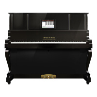布鲁诺（BRUNO）UP132立式钢琴家用品牌专业级考级钢琴 白色