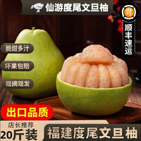 【顺丰包邮】仙游度尾文旦柚清甜多汁孕妇新鲜水果现摘无孔柚子 
