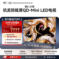 雷鸟电视 55鹤6 27款 抗反防眩屏 QD-Mini LE