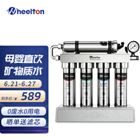 惠尔顿(WHEELTON)直饮净水器家用净水机厨下式超滤大流量过滤器自来水滤水器净水设备带水龙头 不锈钢